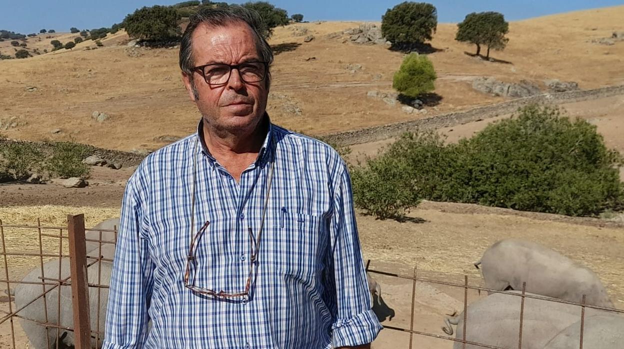 José Manuel Roca, de Asaja Sevilla: «Sacrificando los animales porque no podemos darles de beber»