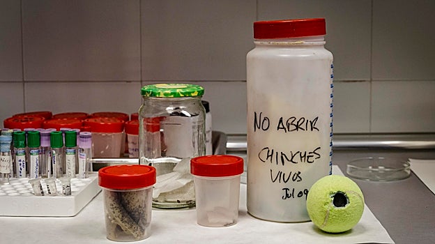 Botes con distintos tipos de insectos, guardados en el Departamento de Control de Vectores