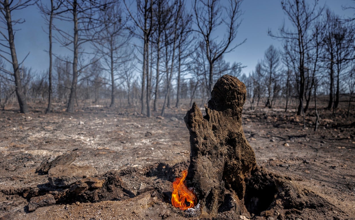 Imagen de una de las zonas afectadas por el incendio de Bejís (Castellón)