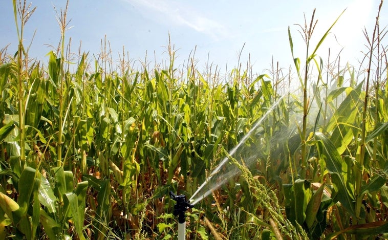 Los agricultores creen en el regadío: 80.000 hectáreas más en 10 años