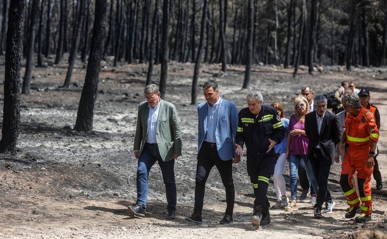 El Gobierno declarará como zonas catastróficas los territorios calcinados por grandes incendios