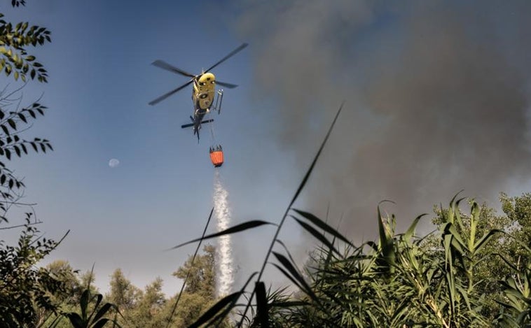 Los medios se retiran del incendio de la isla del Tajo en Toledo, que ya está controlado