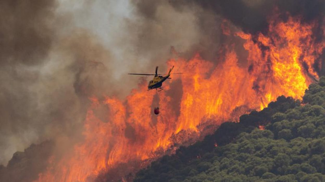 El Consejo de Ministros aprueba cinco zonas catastróficas por incendios en Andalucía