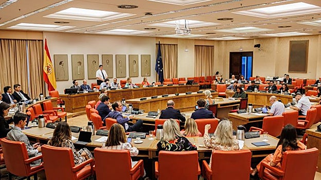Diputación Permanente celebrada en el Congreso de los Diputados