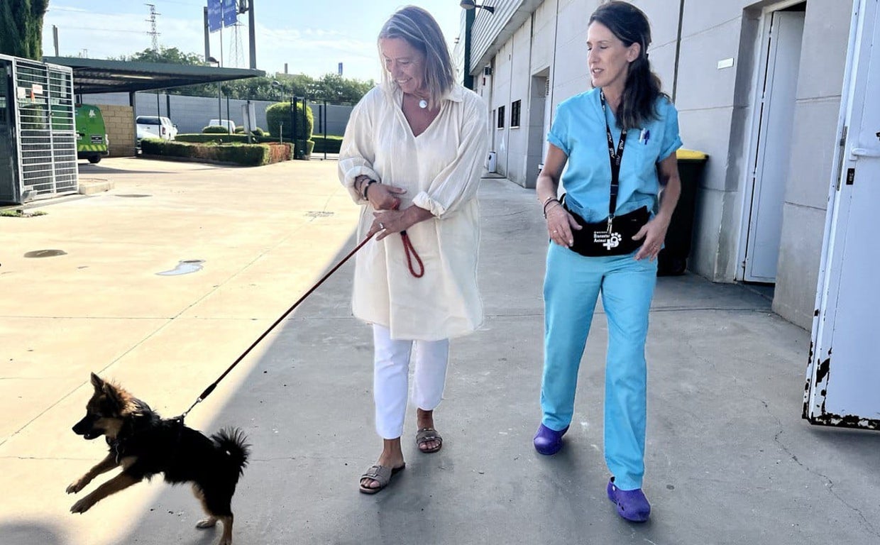 Sadeco denuncia que se han abandonado a 61 perros del 15 al 21 de agosto en Córdoba