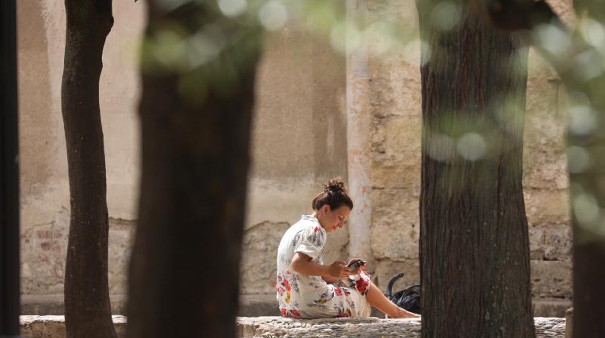 El tiempo en Córdoba | Las temperaturas bajan en un día con una tarde nubosa