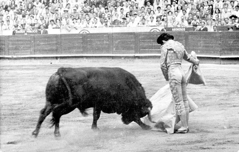 La vida de Manolete, en imágenes