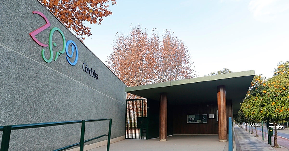 Operación &#039;Rino&#039;