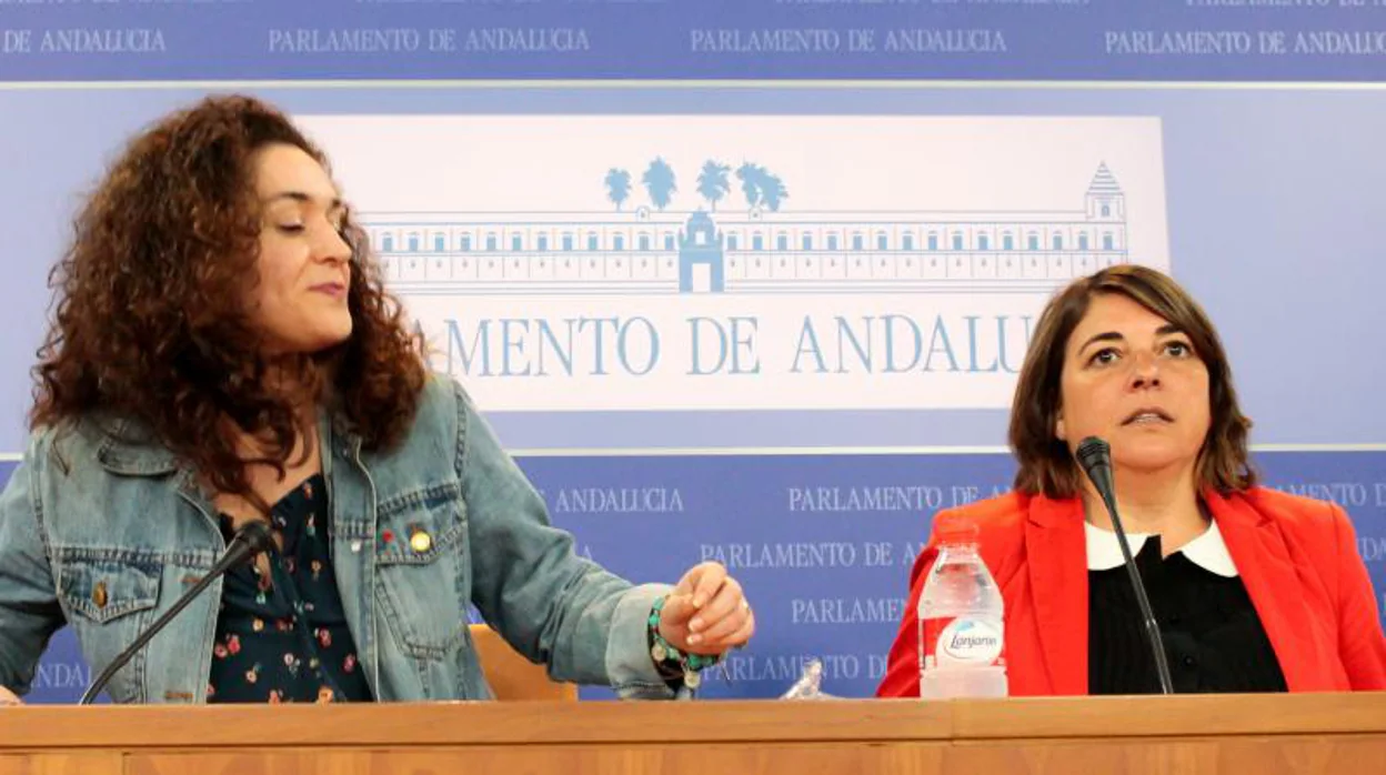 IU y Podemos, una difícil relación parlamentaria
