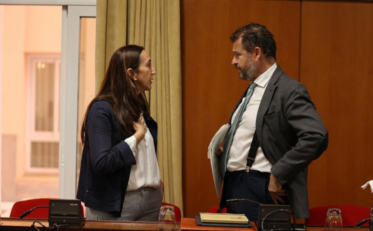 Paula Badanelli conversa con David Dorado en un pleno celebrado el 28 de abril de este año