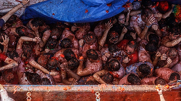 Las mejores imágenes de la Tomatina 2022 de Buñol (Valencia)