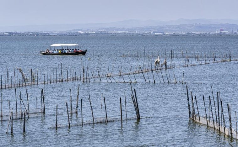 El PP reclama a Pedro Sánchez una mayor inversión para garantizar la supervivencia de la Albufera