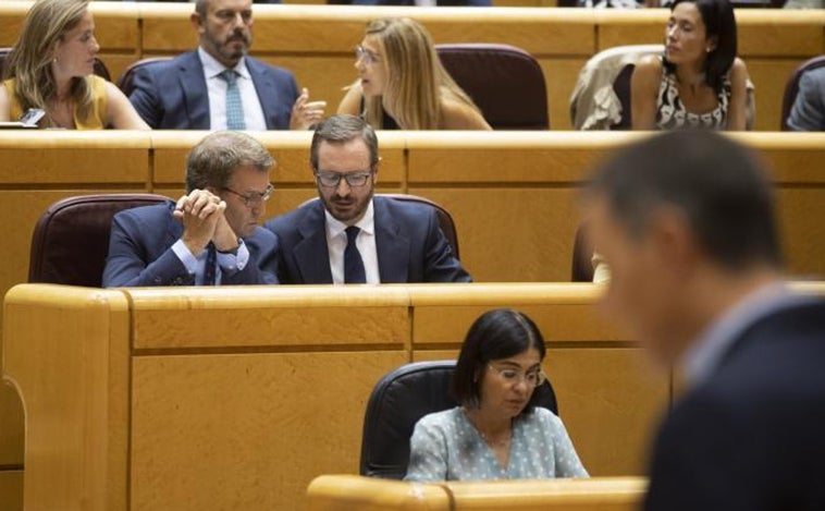 Pedro Sánchez o Alberto Núñez Feijóo, ¿quién crees que ha ganado el cara a cara en el Senado?