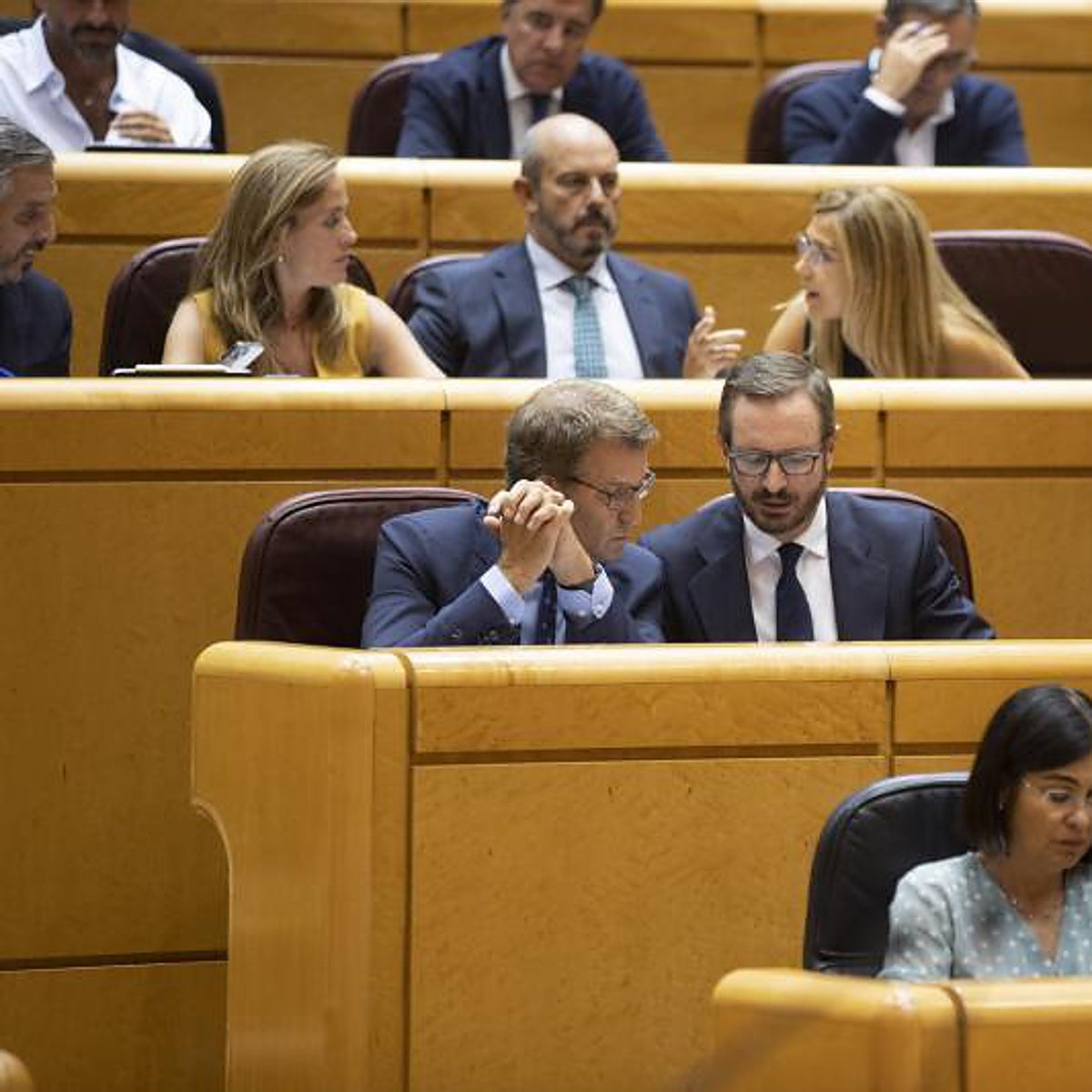 Pedro Sánchez o Alberto Núñez Feijóo, ¿quién crees que ha ganado el cara a cara en el Senado?