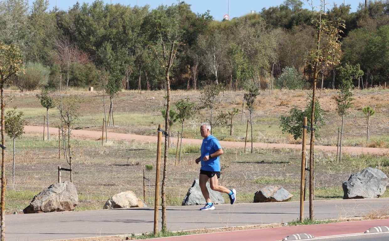 El Ayuntamiento de Córdoba, alertado por los actos vandálicos en las zonas verdes nuevas