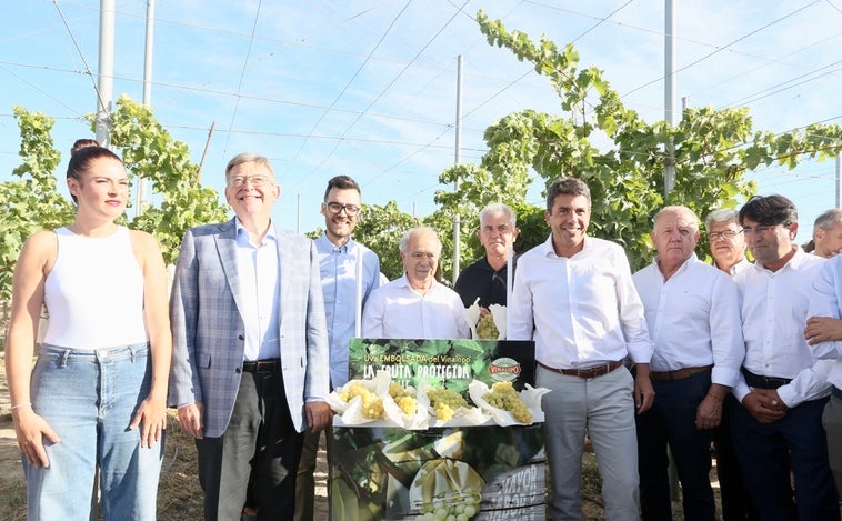 Mazón anuncia que la Diputación de Alicante incluirá el seguro agrario en sus ayudas a autónomos y pymes