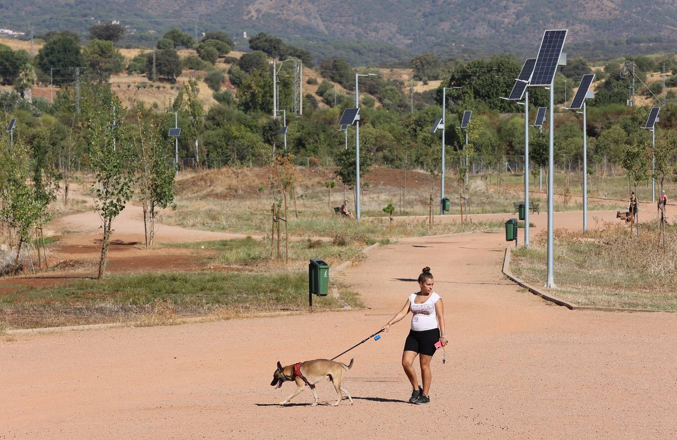 La evolución del nuevo parque de Levante de Córdoba, en imágenes