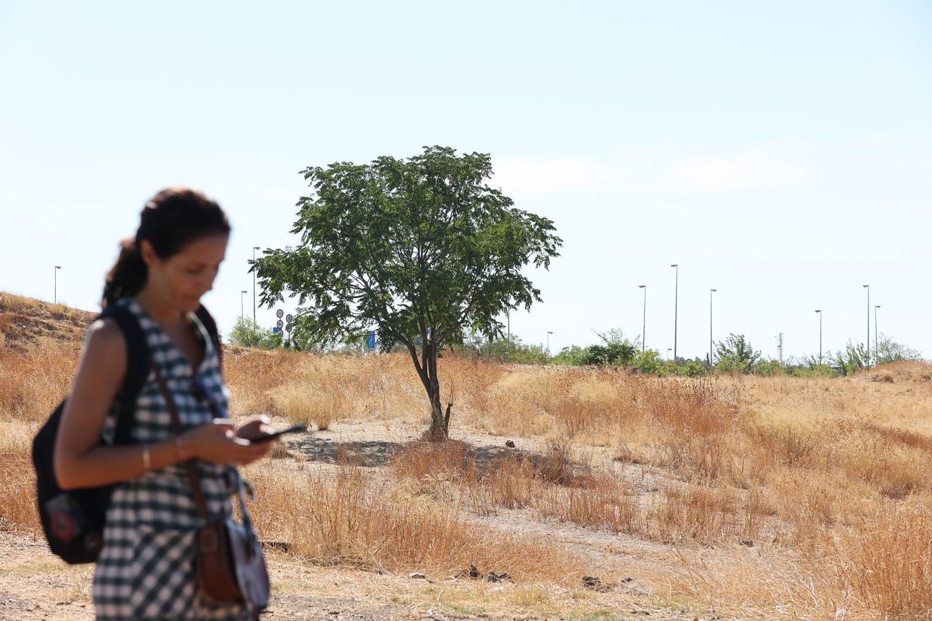 La evolución del nuevo parque de Levante de Córdoba, en imágenes