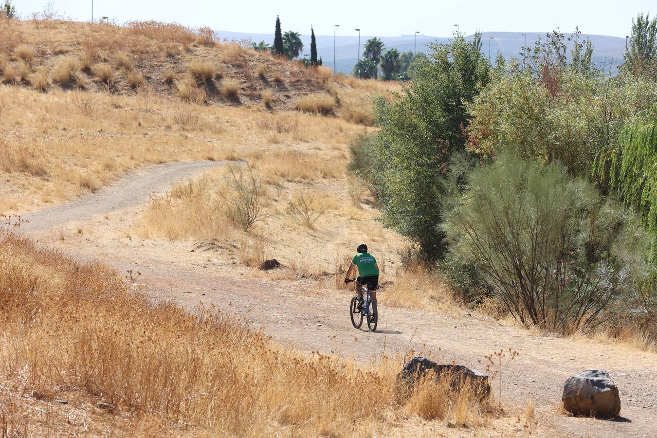 La evolución del nuevo parque de Levante de Córdoba, en imágenes