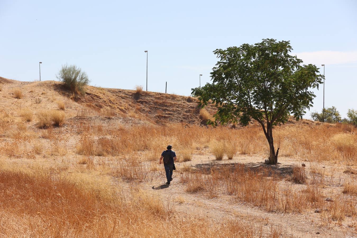 La evolución del nuevo parque de Levante de Córdoba, en imágenes