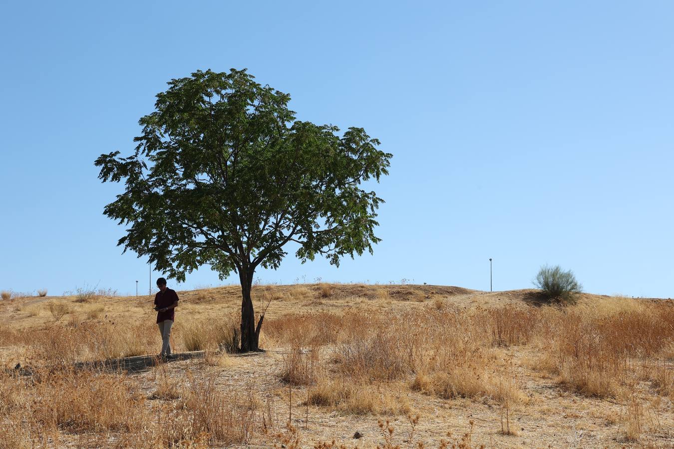 La evolución del nuevo parque de Levante de Córdoba, en imágenes