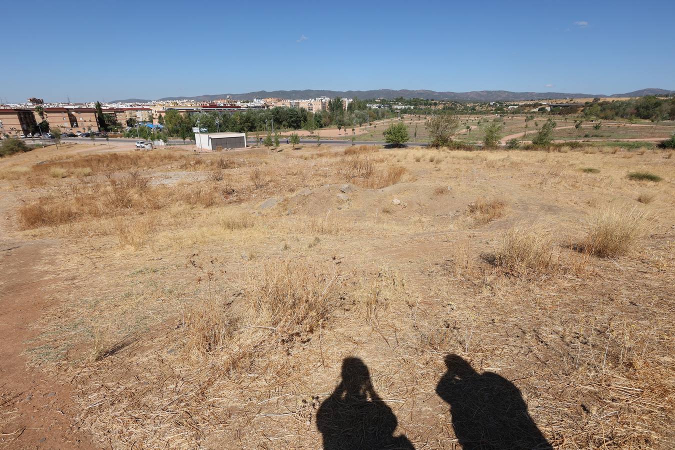 La evolución del nuevo parque de Levante de Córdoba, en imágenes