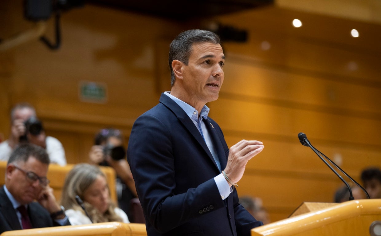 El presidente del Gobierno, Pedro Sánchez, durante su discurso en el debate energético del Senado