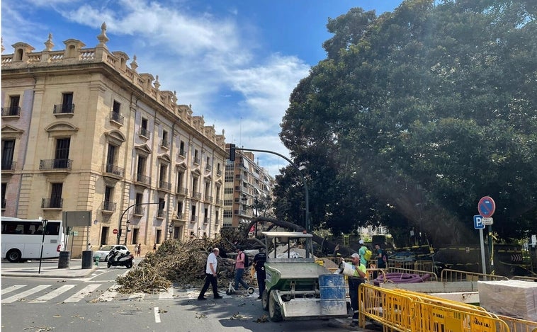 Cuatro heridos al caer una rama de un árbol monumental en el centro de Valencia