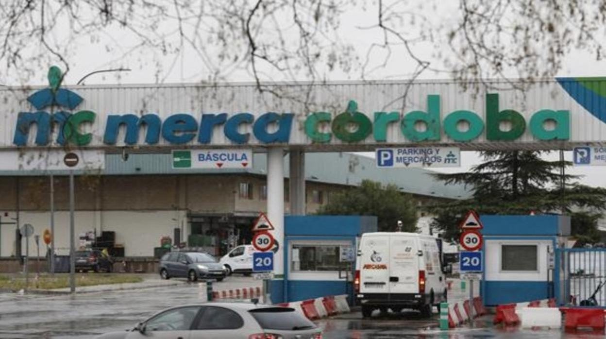 ¿Quieres trabajar en MercaCórdoba? Ha convocado plazas de técnicos y operarios