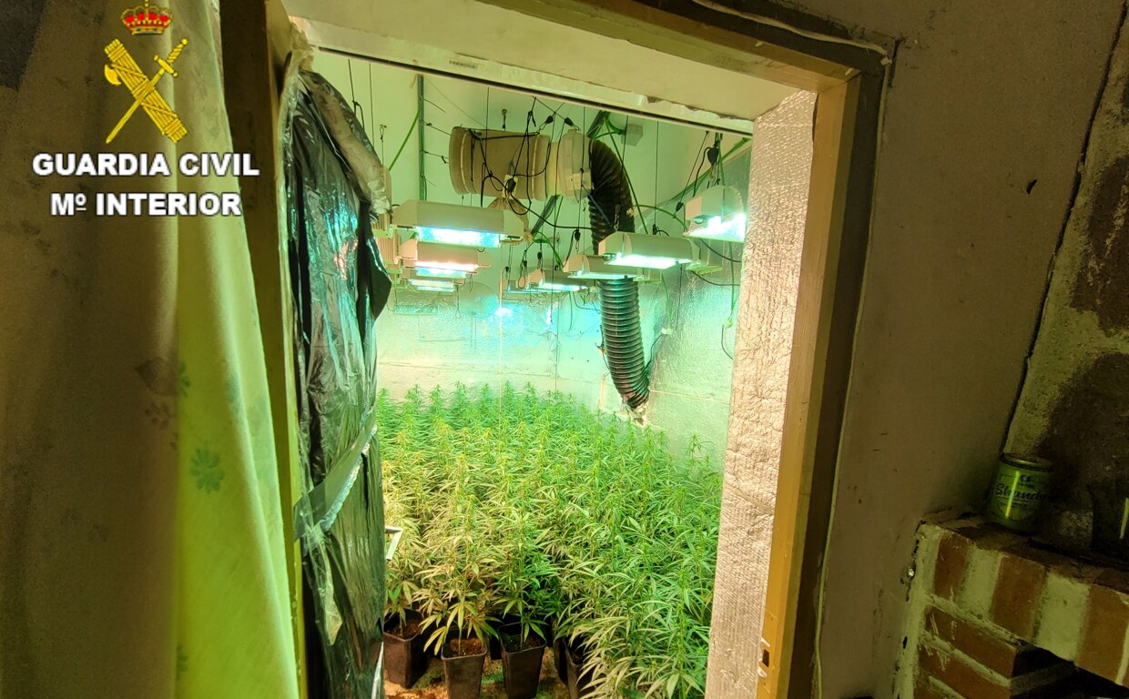Desmantelan tres cultivos 'indoor' de marihuana en Cuenca con 6 detenidos y 80 kilos incautados