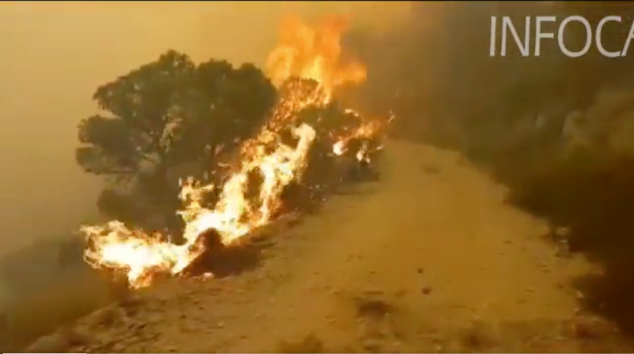 Más de 200 bomberos y 22 medios aéreos por un incendio en Los Guájares (Granada)