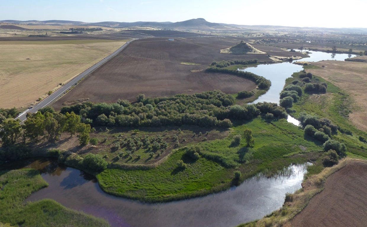 Fuente Obejuna y la Universidad de Córdoba inician la excavación de la ciudad romana de Mellaria