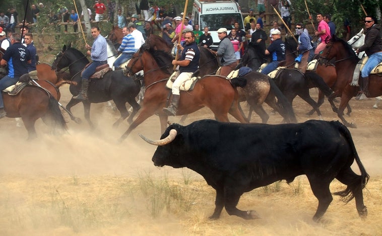 Cómo podrá ser el Toro de la Vega este 2022