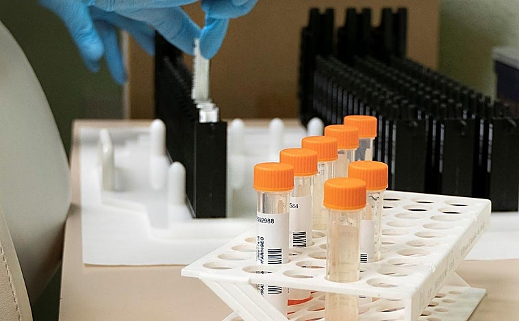 Castilla-La Mancha registra 5 nuevos casos de viruela del mono entre el 2 y el 8 de septiembre