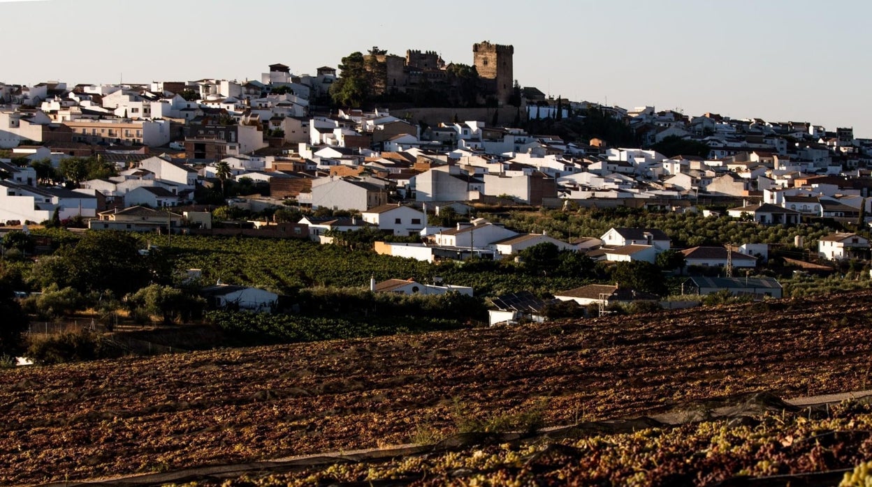 La feria Paxera de Montemayor pone en valor el Pedro Ximénez