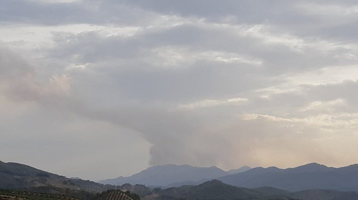 Incendio forestal en Jaén: nueve aviones y ochenta efectivos luchan contra el fuego en Santiago-Pontones