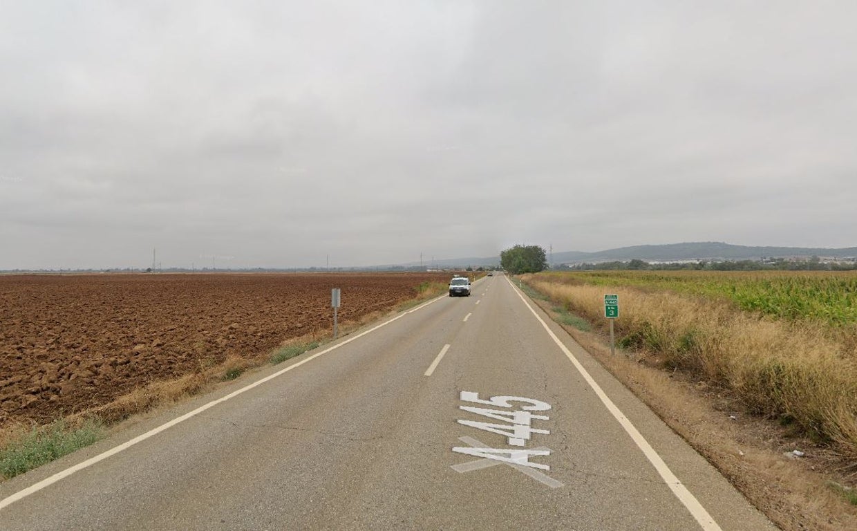 Kilómetro 3 de la A-445 entre Posadas (al fondo) y La Carlota, en una imagen extraída de Google Maps