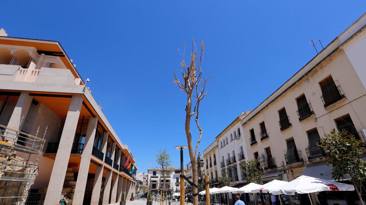 Las placas solares del Ayuntamiento de Córdoba, a expensas del visto bueno de Cultura