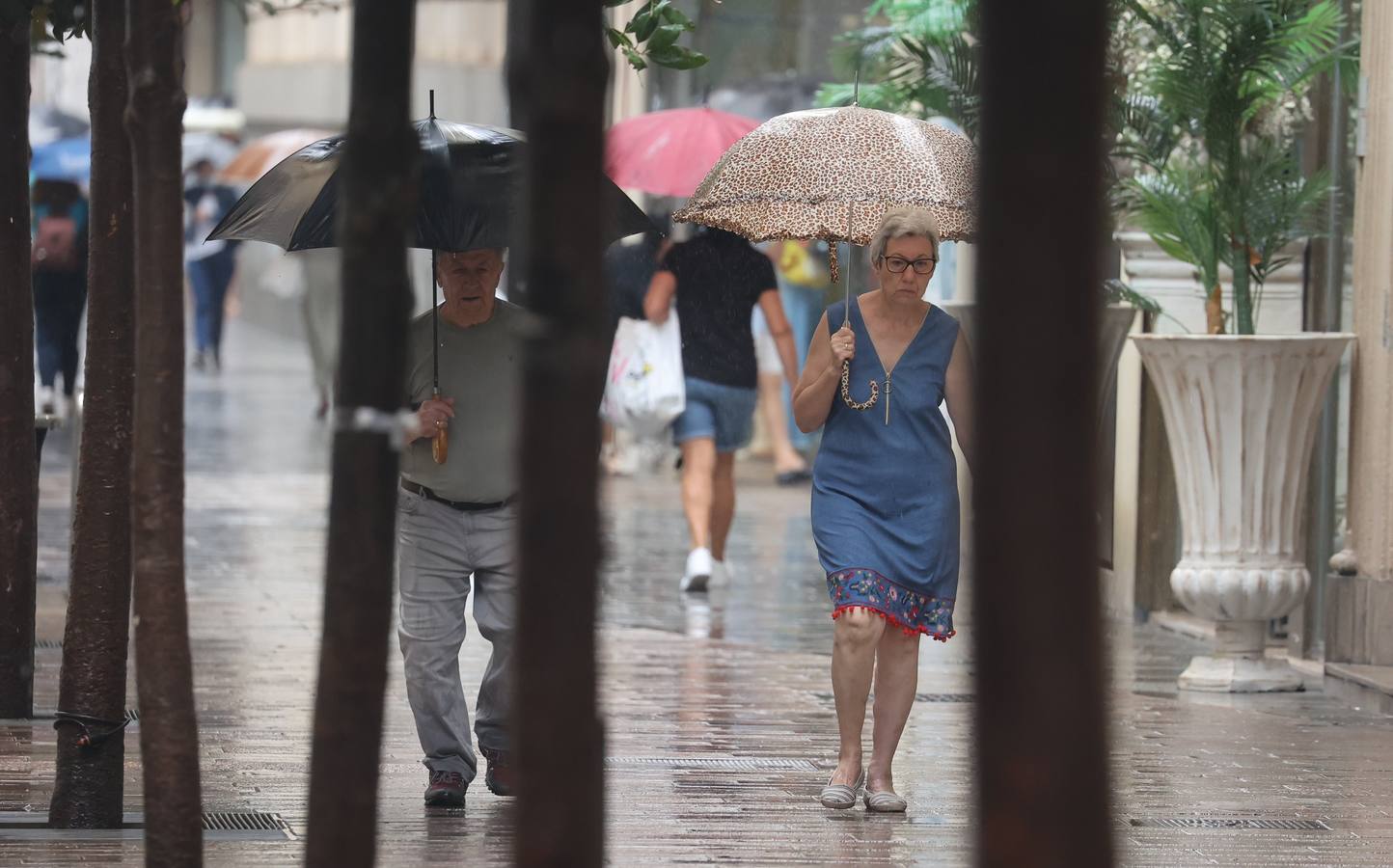 La ansiada lluvia vuelve a Córdoba, en imágenes