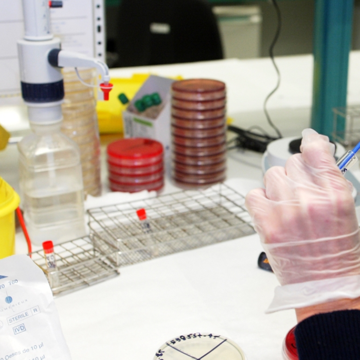 Una doctora de Canarias, la única investigadora española en la Misión Cáncer de la Comisión Europea