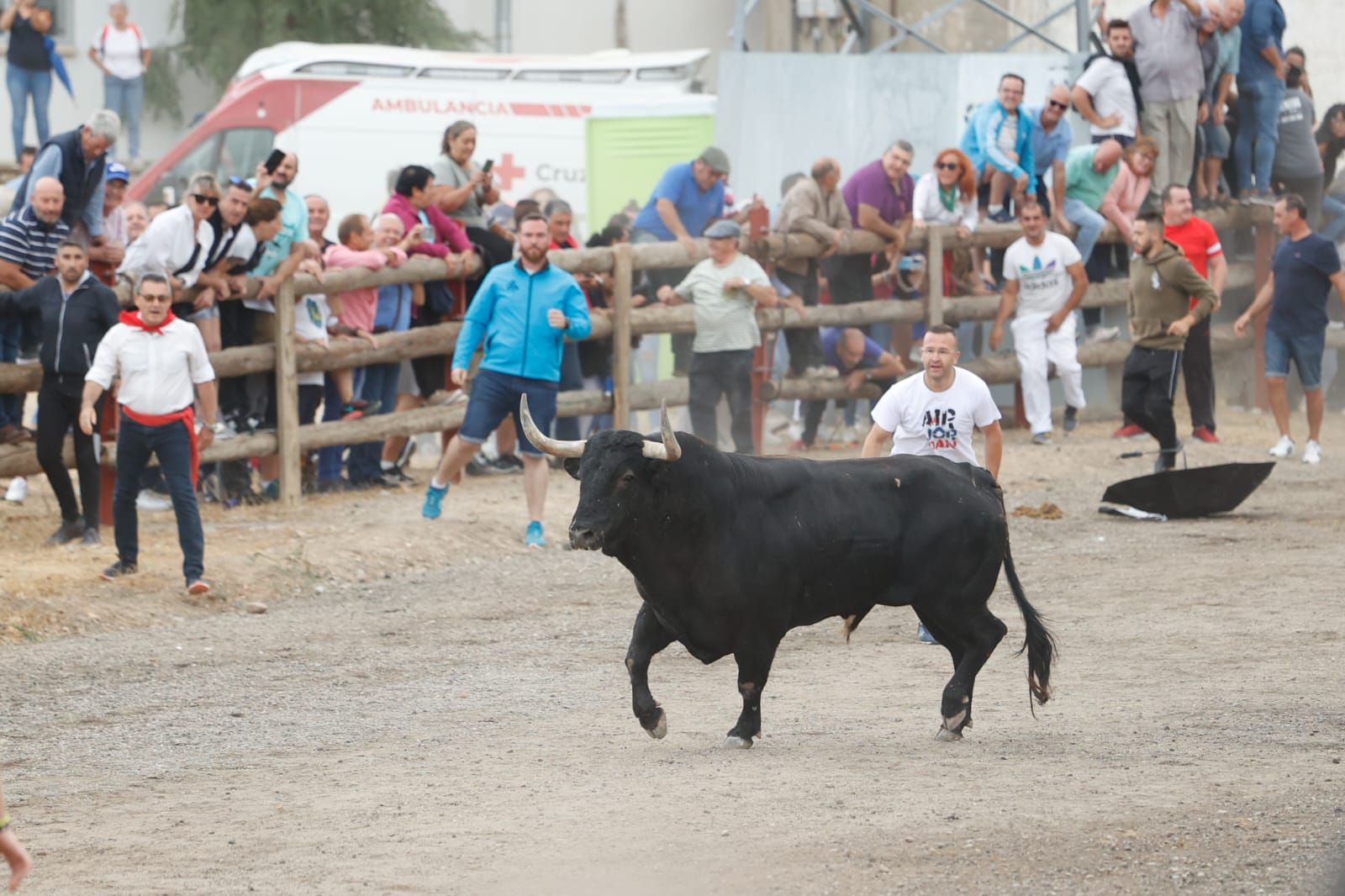 El Toro de la Vega 2022, en imágenes