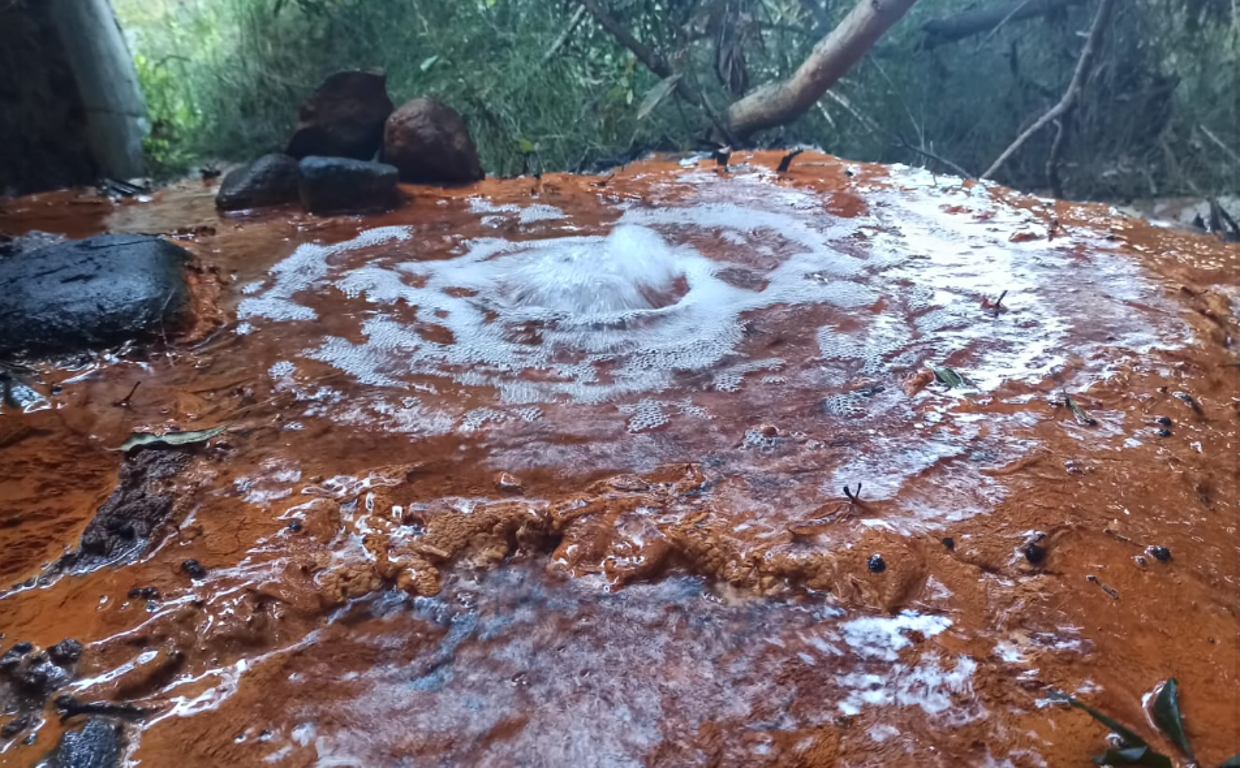 Manantial en la Caldera de Taburiente,  La Palma