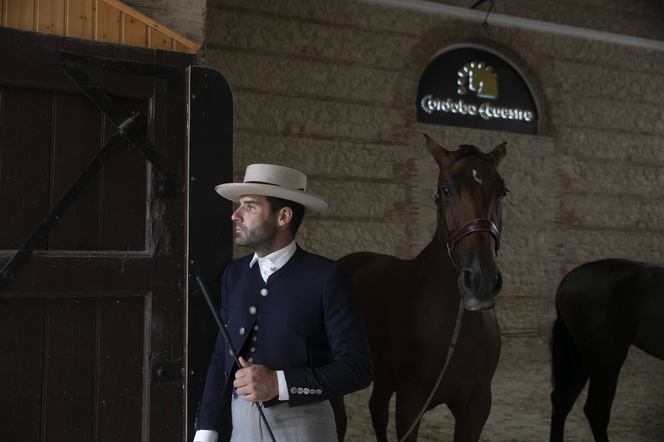 El Concurso Morfológico de Cabalcor de Córdoba, en imágenes