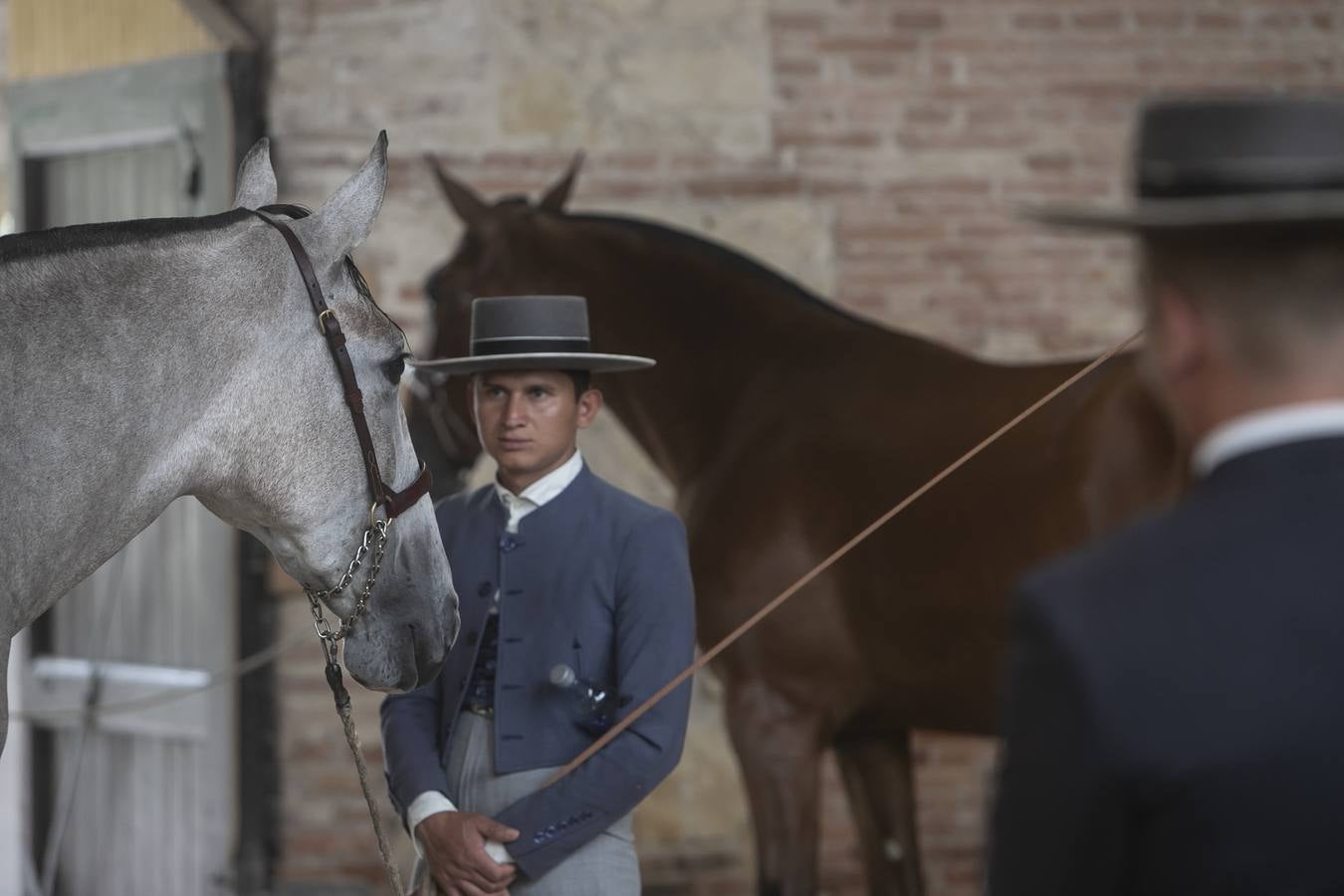 El Concurso Morfológico de Cabalcor de Córdoba, en imágenes
