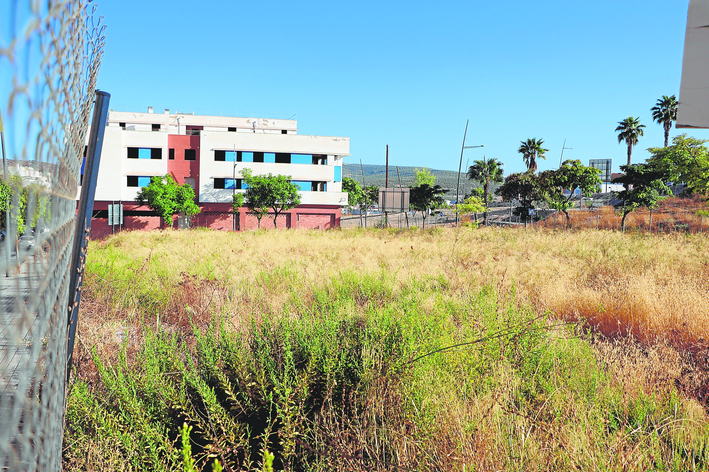 Solar abandonado y lleno de maleza en el Plan Parcial Oeste 1 de Lucena