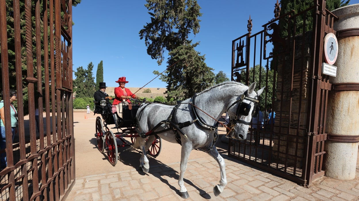 La elegancia de los atalajes en la feria del caballo de Córdoba, en imágenes