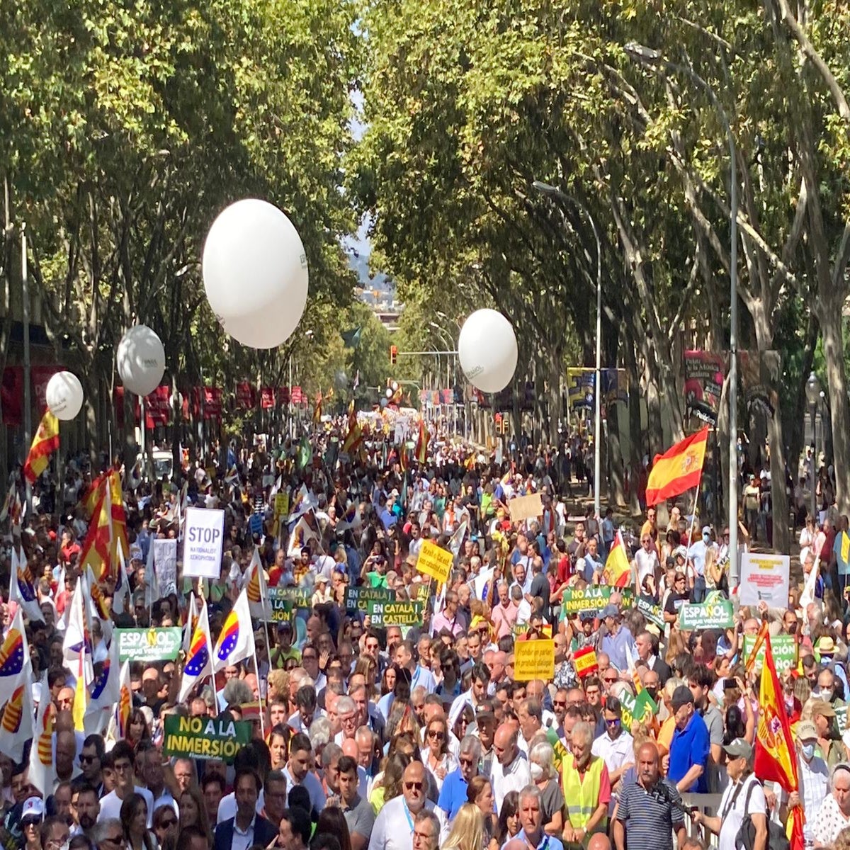 Palma se suma a la defensa del español: «Yo corrí ante los 'grises' para  estudiar en catalán y ahora defiendo el castellano»