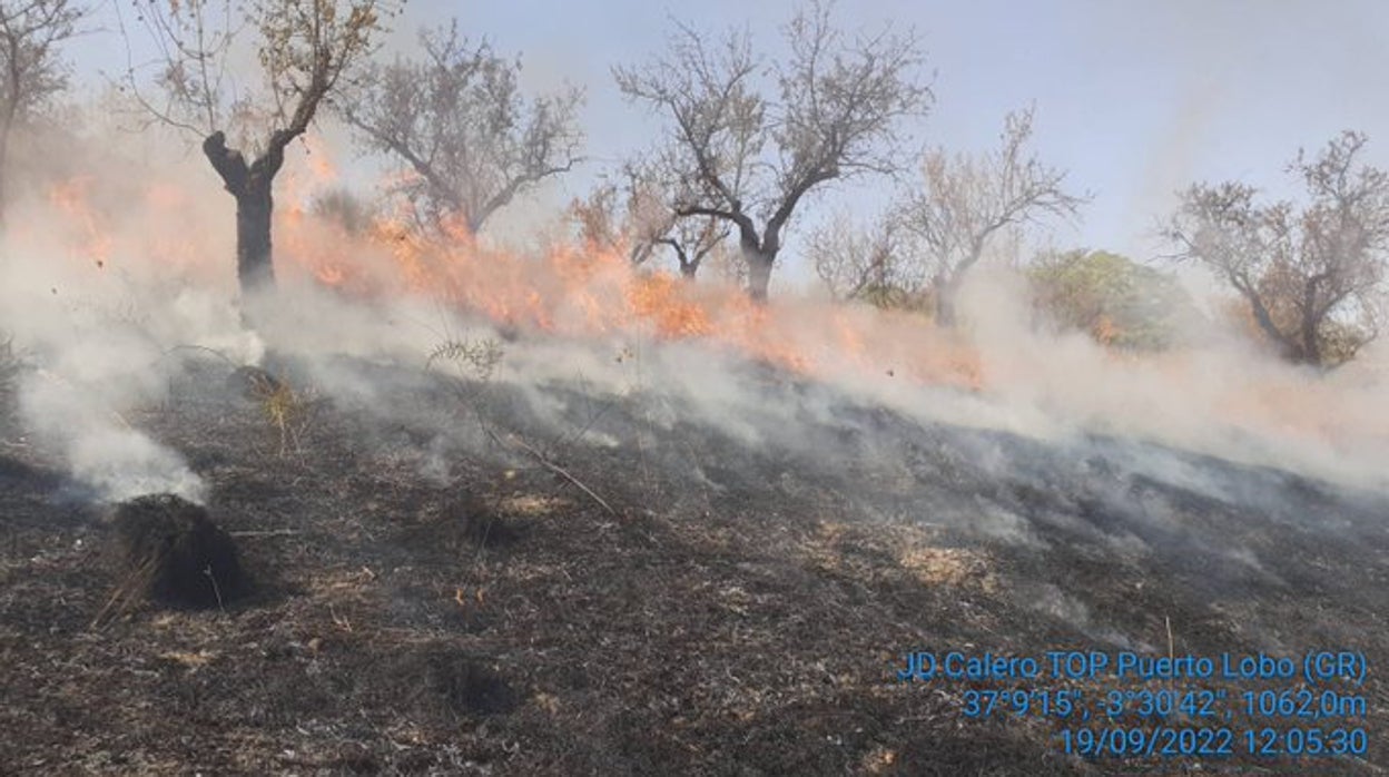 Extinguido el fuego en un lateral de la A-395 en Pinos Genil tras arder un coche