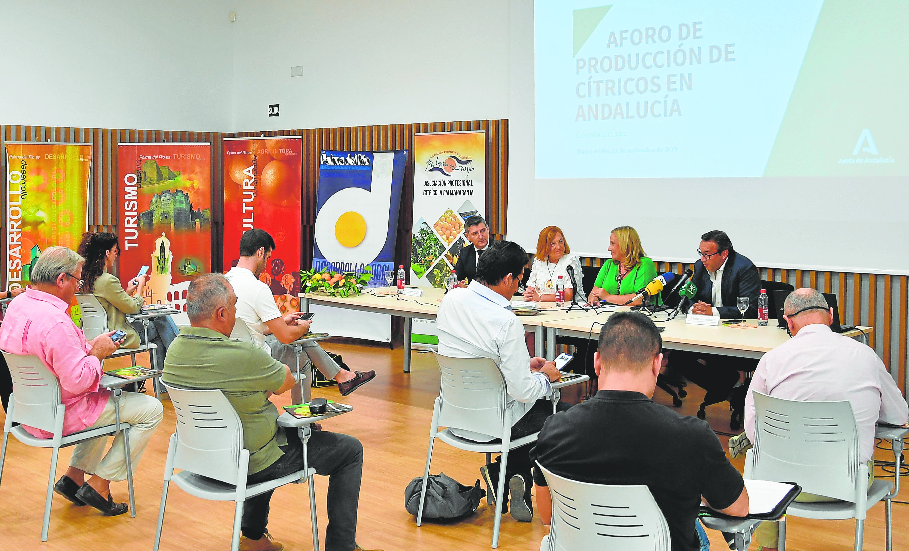 Presentación en Palma del Río del aforo de la campaña de cítricos de Andalucía