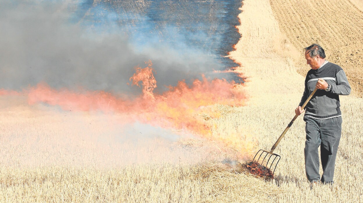 El campo de Córdoba clama contra la prohibición de quemar restos vegetales